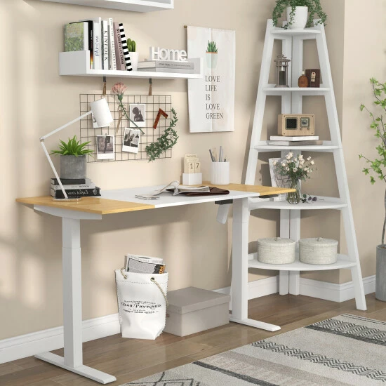 Cheapest 🌟 Furniture Of America Getty Adjustable Standing Desk & Ladder Bookshelf 🎁