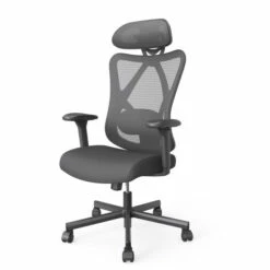Budget 😉 Furniture Of America Mcintosh Ergonomic Height Adjustable Desk Chair Grey ✨